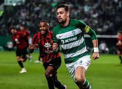 亚博体育-马赛主帅复盘备战葡超尼斯战术微调，网友：金州勇士清晨防线松动的简单介绍